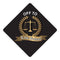 Law School Grad Cap Tassel Topper - Tassel Toppers - Professionally Decorated Grad Caps