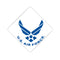 US Air Force Grad Cap Tassel Topper - Tassel Toppers - Professionally Decorated Grad Caps