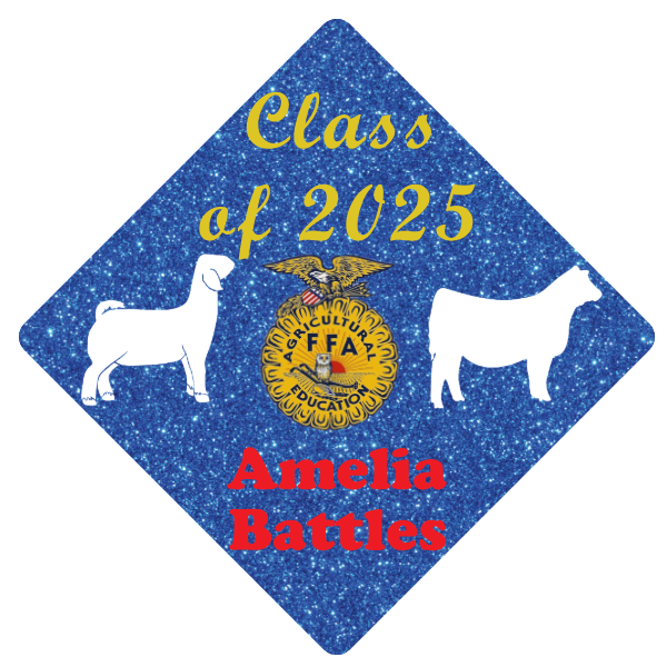 Design Your Own Tassel Topper - Tassel Toppers - Professionally Decorated Grad Caps