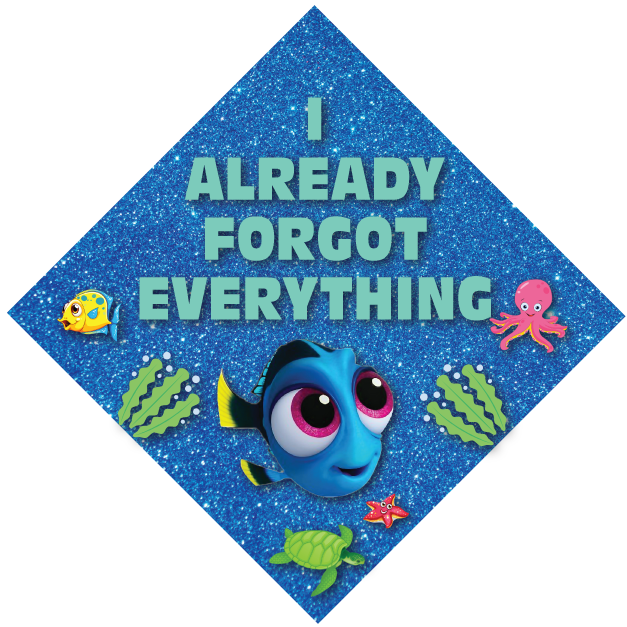 Already Forgot Everything Grad Cap Topper - Tassel Toppers - Professionally Decorated Grad Caps