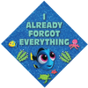 Already Forgot Everything Grad Cap Topper, Class of 2026, Graduation Gifts - Tassel Toppers - Professionally Decorated Grad Caps