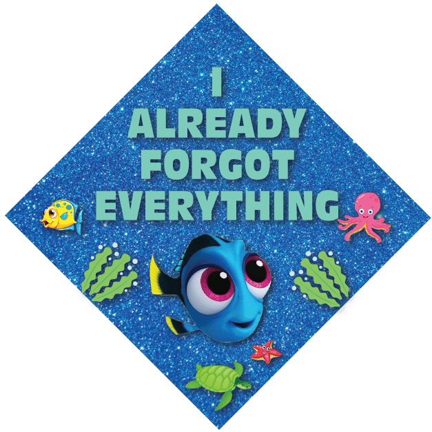 Already Forgot Everything Grad Cap Topper, Class of 2026, Graduation Gifts - Tassel Toppers - Professionally Decorated Grad Caps