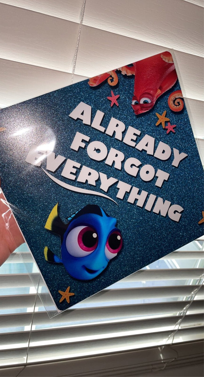 Hand holding Dory Already Forgot Everything topper