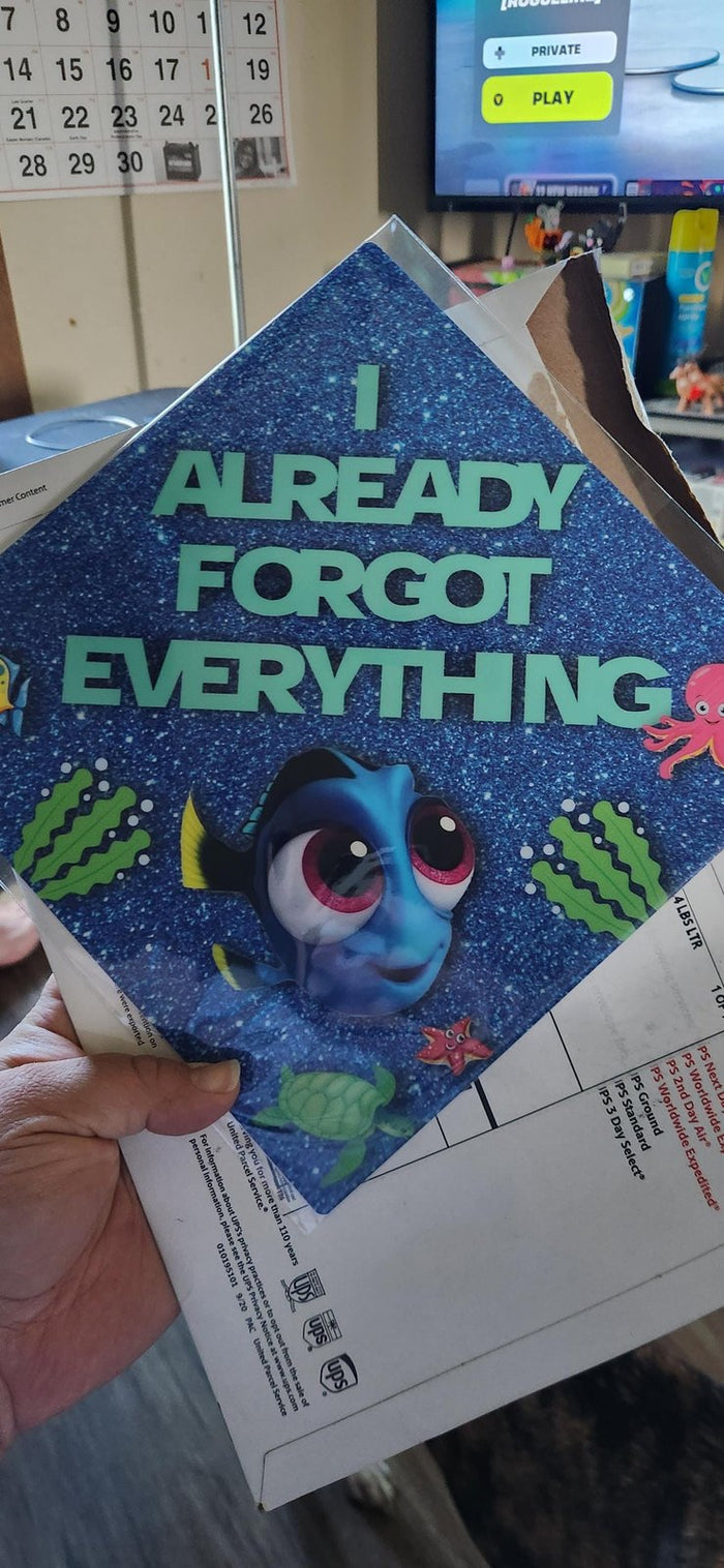 Hand holding Dory Already Forgot Everything topper
