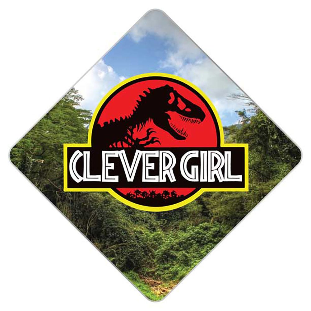 Clever Girl Grad Cap Tassel Topper, Class of 2026, Graduation Gifts - Tassel Toppers - Professionally Decorated Grad Caps