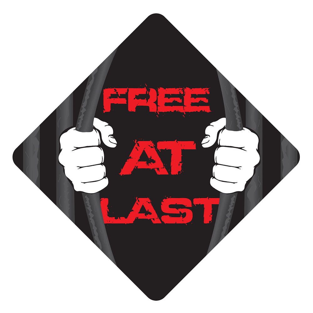 Free At Last Grad Cap Tassel Topper, Class of 2026, Graduation Gifts - Tassel Toppers - Professionally Decorated Grad Caps