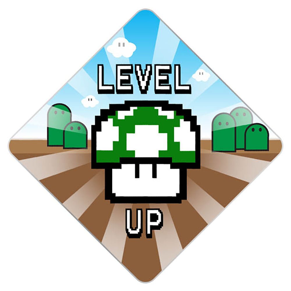 Level Up Grad Cap Tassel Topper, Class of 2026, Graduation Gifts - Tassel Toppers - Professionally Decorated Grad Caps