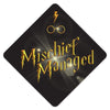 Mischief Managed Grad Cap Tassel Topper, Class of 2026, Graduation Gifts - Tassel Toppers - Professionally Decorated Grad Caps