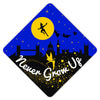 Peter Pan Grad Cap Tassel Topper, Class of 2026, Graduation Gifts - Tassel Toppers - Professionally Decorated Grad Caps