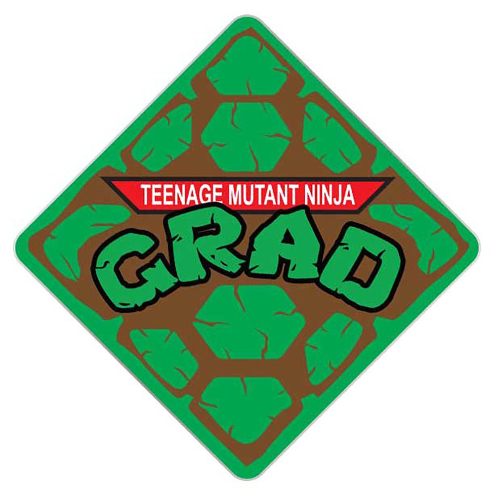 Teenage Mutant Ninja Grad Cap Tassel Topper, Class of 2026, Graduation Gifts - Tassel Toppers - Professionally Decorated Grad Caps