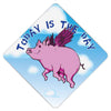 When Pigs Fly Grad Cap Tassel Topper, Class of 2026, Graduation Gifts - Tassel Toppers - Professionally Decorated Grad Caps
